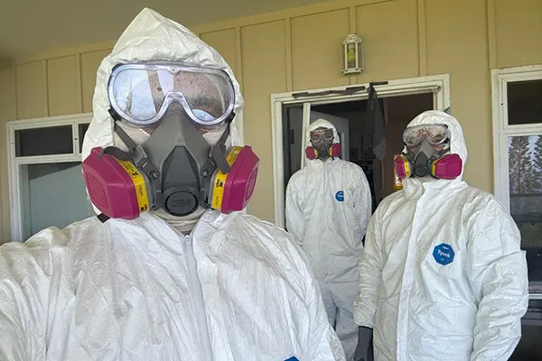 Mold Removal Service